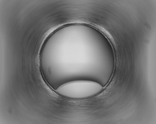 X0000112021380200908031033