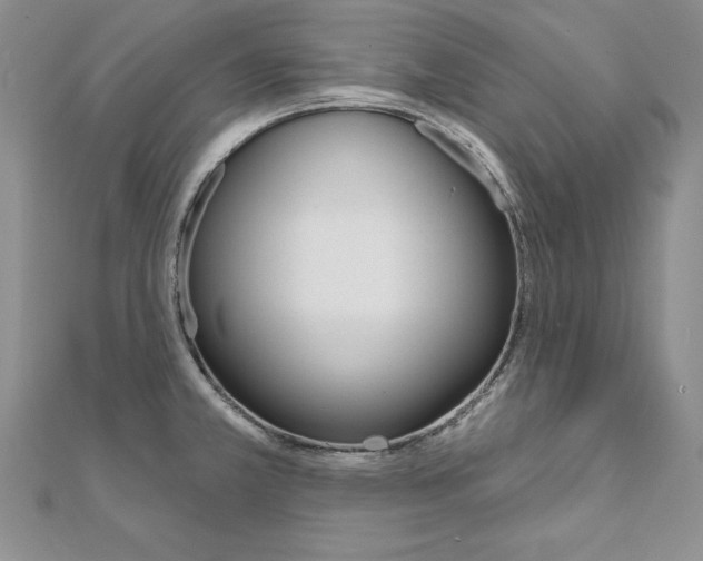 X0000112021381200908031033