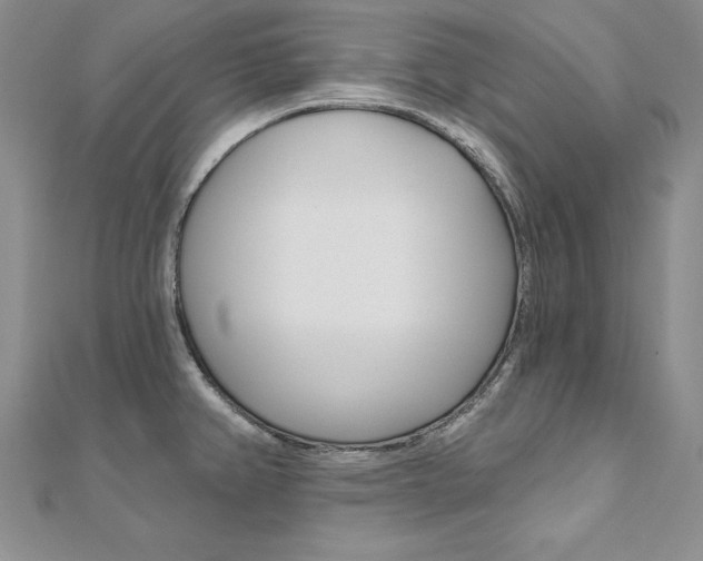 X0000112021382200908031033
