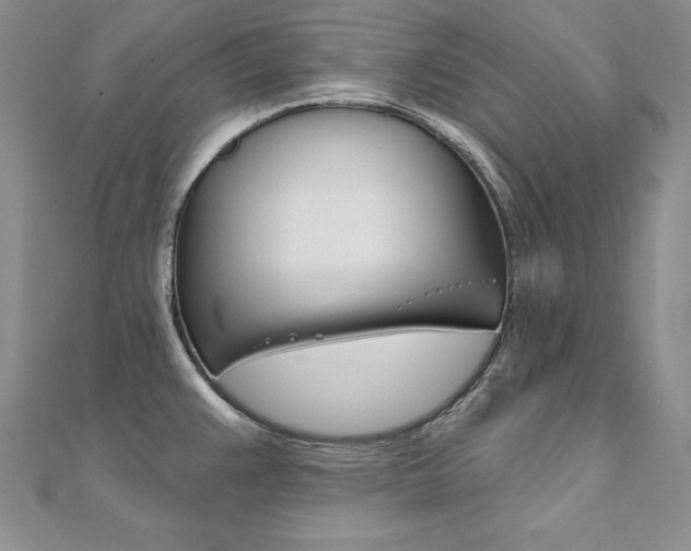 X0000112021383200908031033
