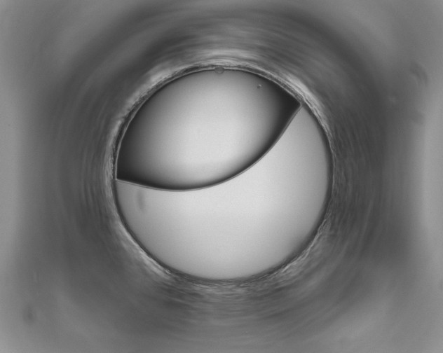 X0000112021384200908031033