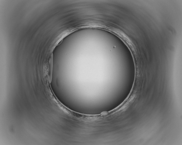 X0000112021385200908031033