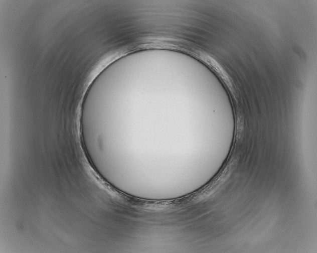 X0000112021386200908031033