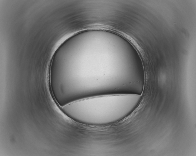 X0000112021387200908031033
