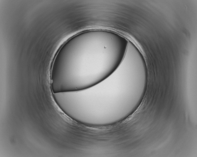 X0000112021388200908031033