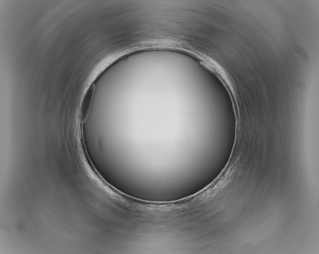 X0000112021389200908031033