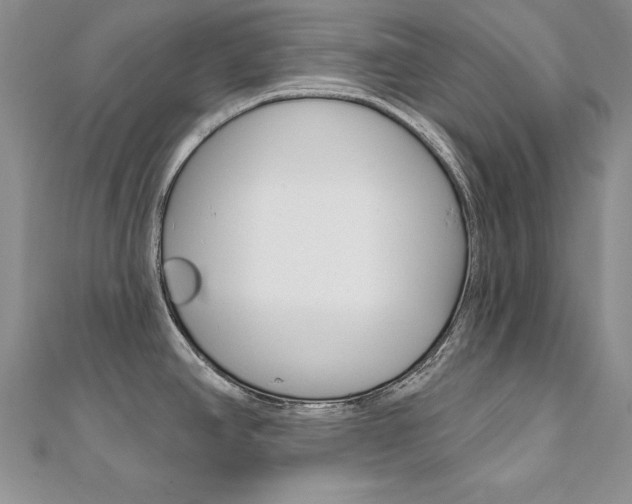 X0000112021390200908031033