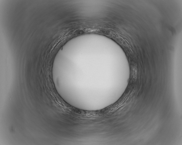 X0000112021393200908031032