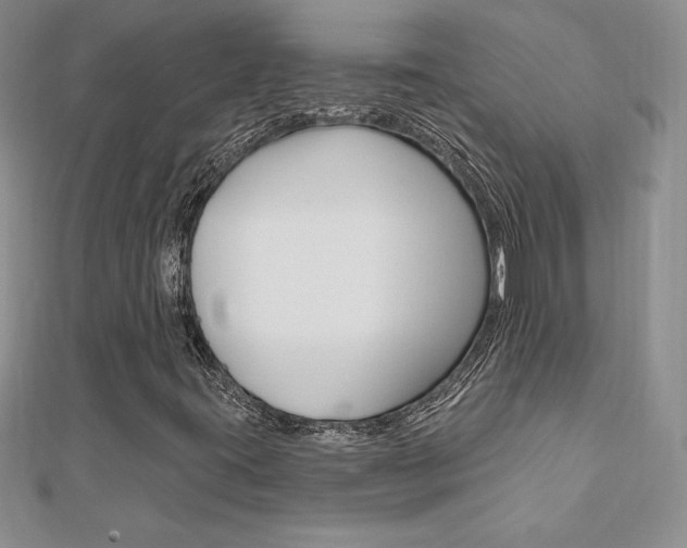 X0000112021395200908031032