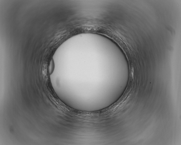 X0000112021396200908031032