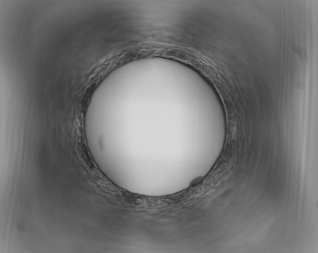 X0000112021397200908031032