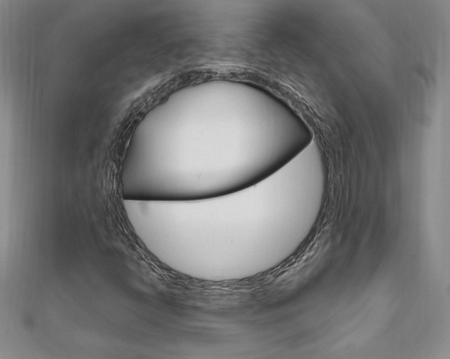 X0000112021398200908031032