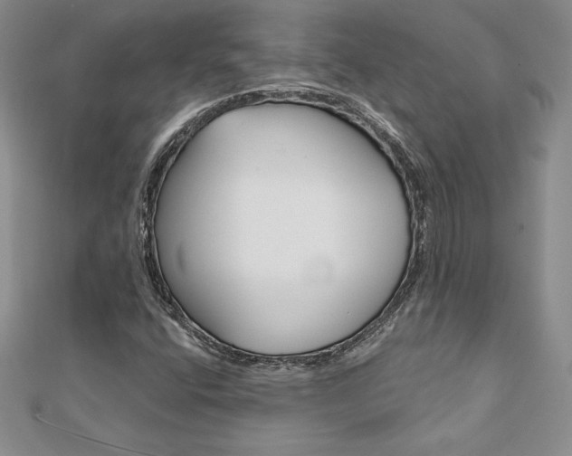 X0000112021400200908031032