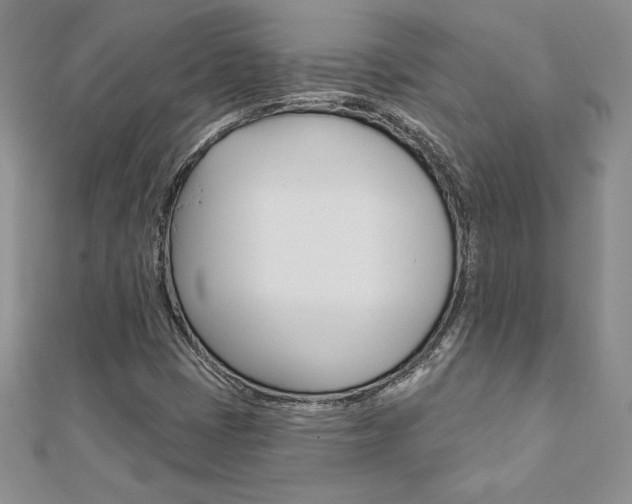 X0000112021401200908031032
