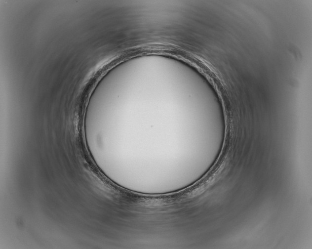 X0000112021402200908031032