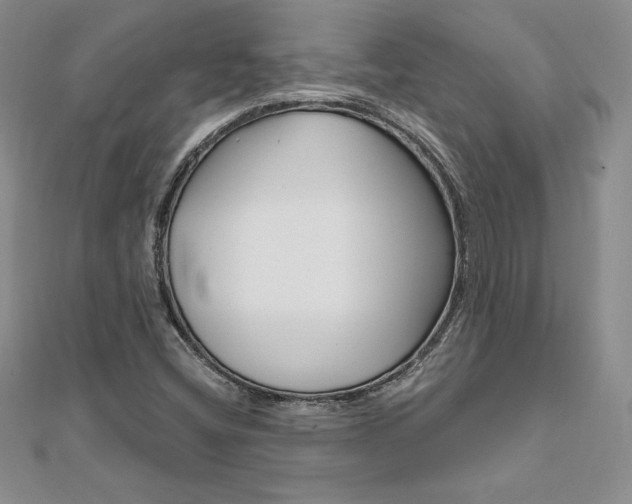 X0000112021404200908031032