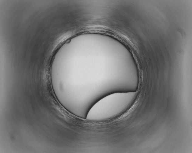 X0000112021405200908031032