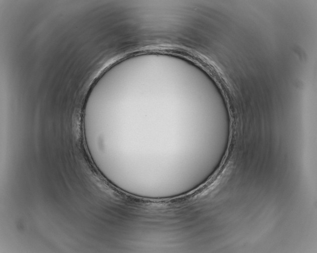 X0000112021409200908031032