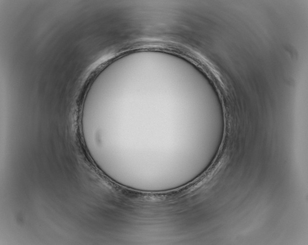 X0000112021411200908031032