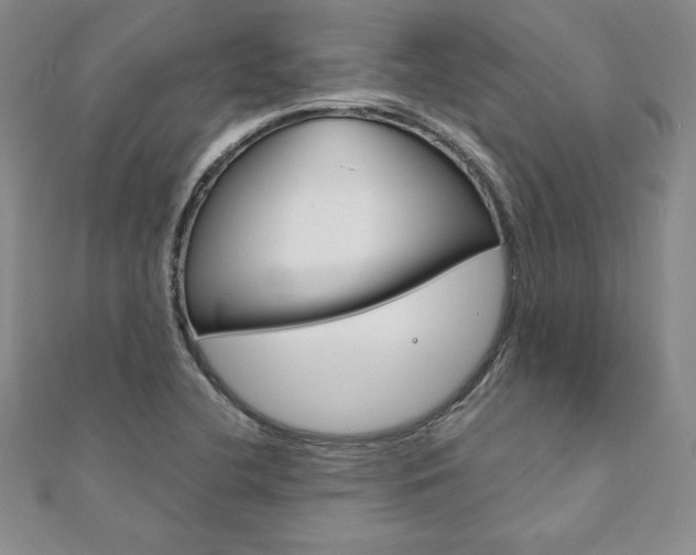 X0000112021412200908031032