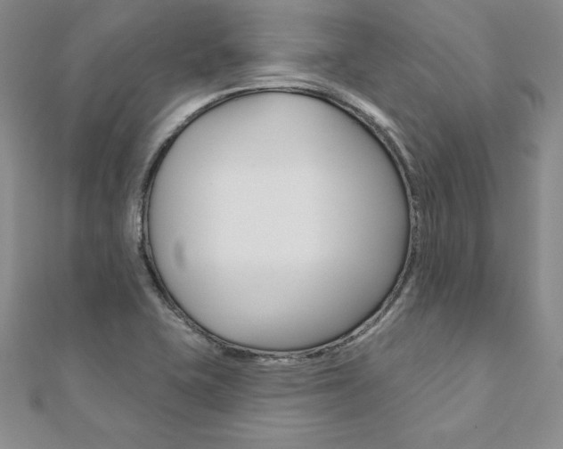X0000112021415200908031032