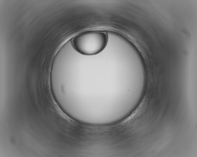 X0000112021417200908031032