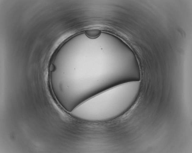 X0000112021418200908031032
