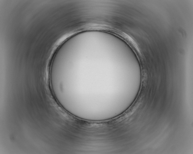 X0000112021419200908031032