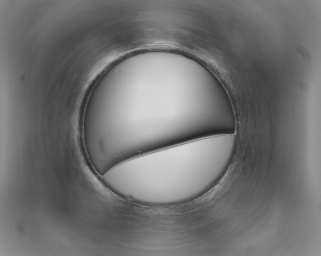X0000112021422200908031033