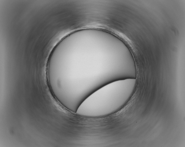 X0000112021423200908031033
