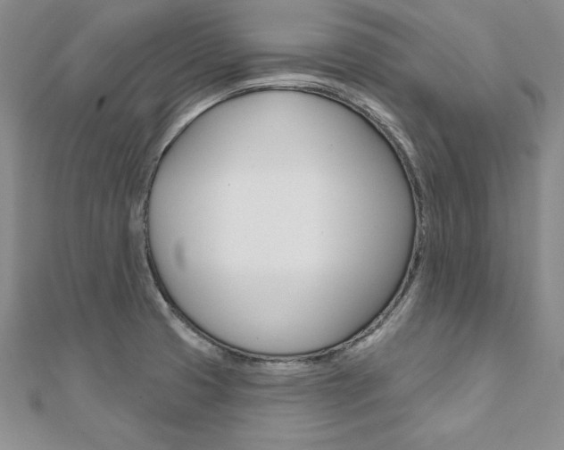 X0000112021425200908031033