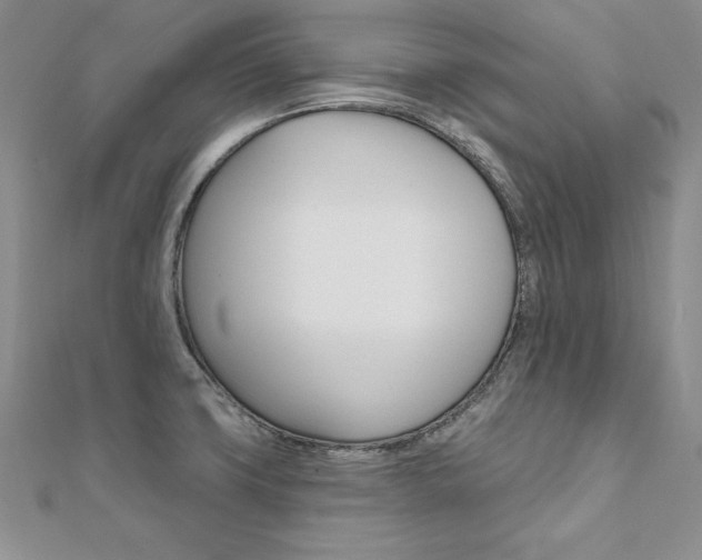 X0000112021427200908031033