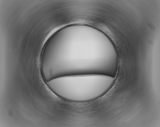 X0000112021428200908031033