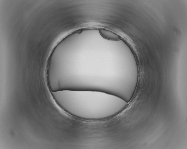 X0000112021429200908031033