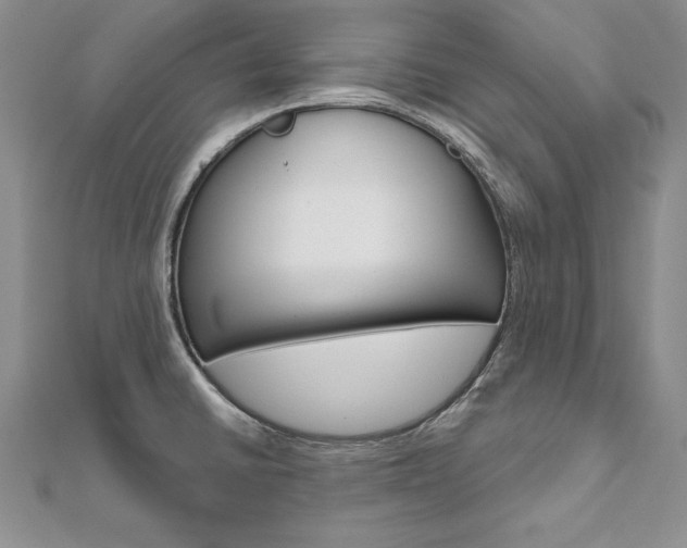 X0000112021430200908031033