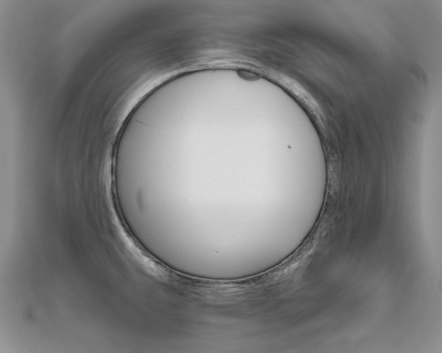 X0000112021431200908031033