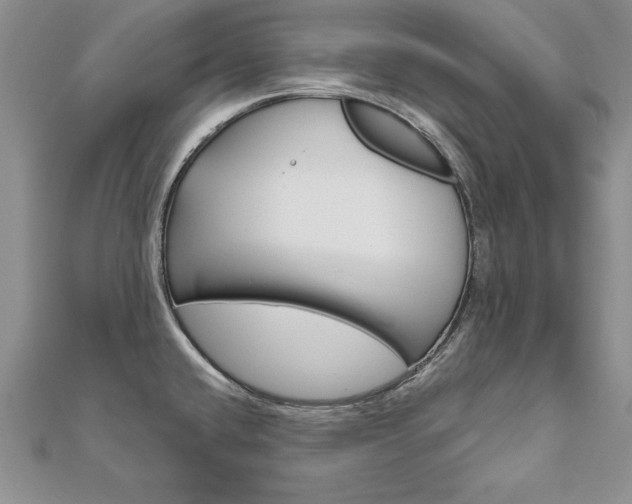 X0000112021432200908031033