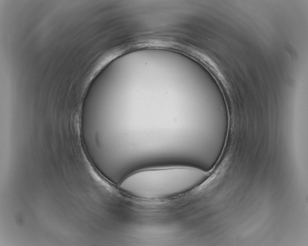 X0000112021433200908031033