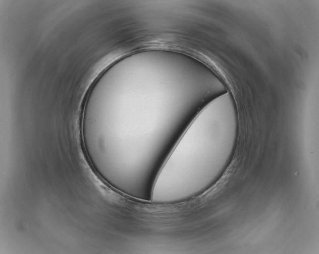 X0000112021434200908031033