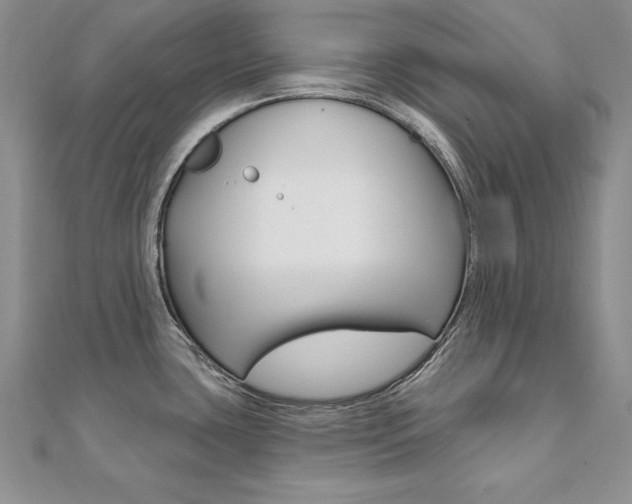 X0000112021435200908031033