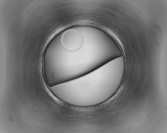 X0000112021437200908031033