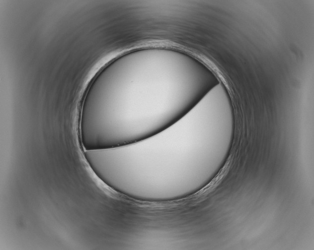 X0000112021438200908031033