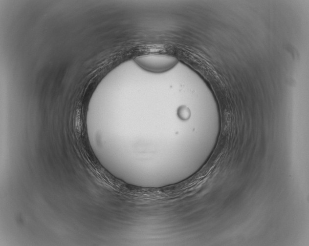 X0000112021442200908031032