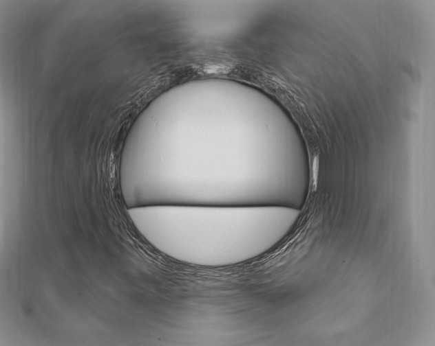 X0000112021443200908031032