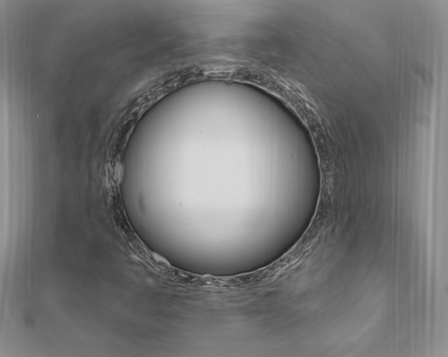 X0000112021445200908031032