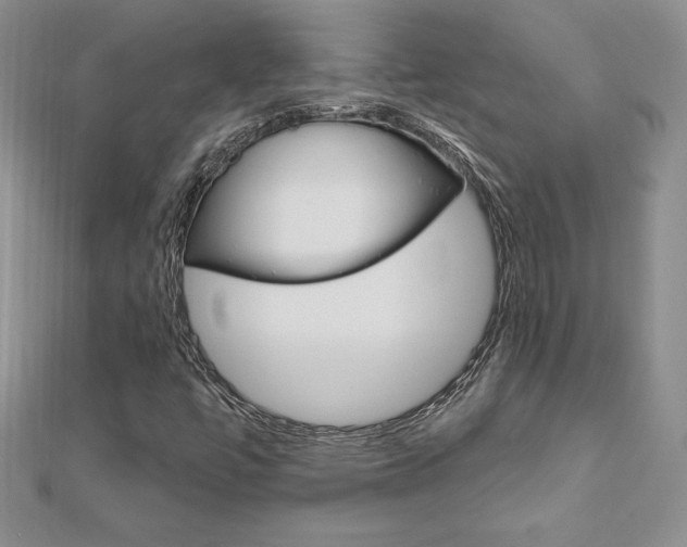 X0000112021447200908031032