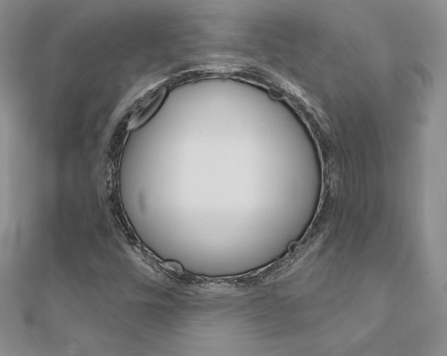X0000112021448200908031032