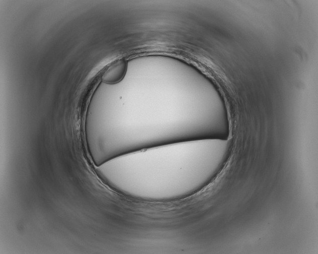 X0000112021450200908031032