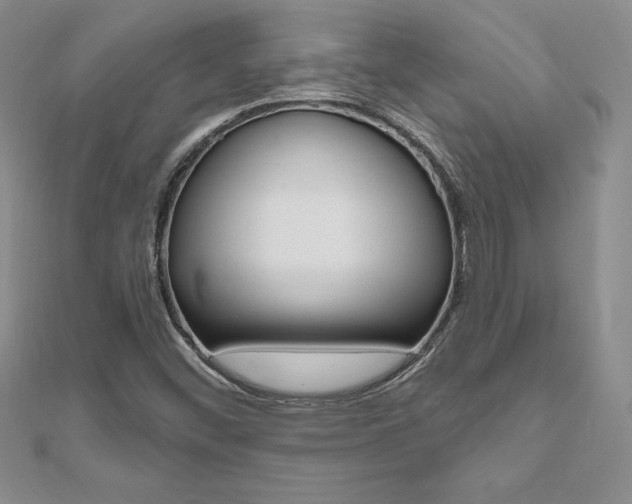 X0000112021452200908031032