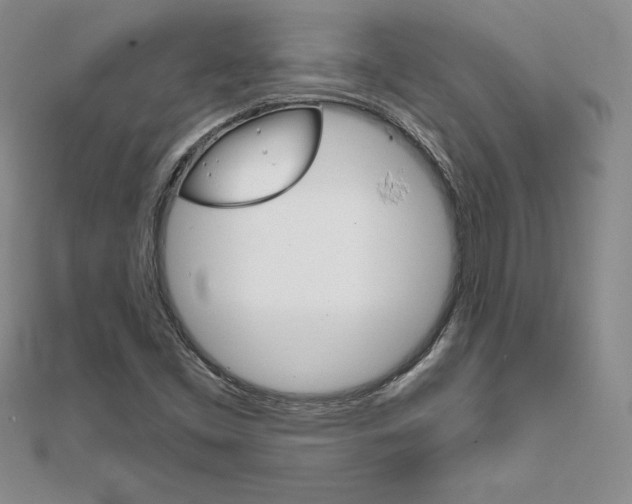 X0000112021453200908031032